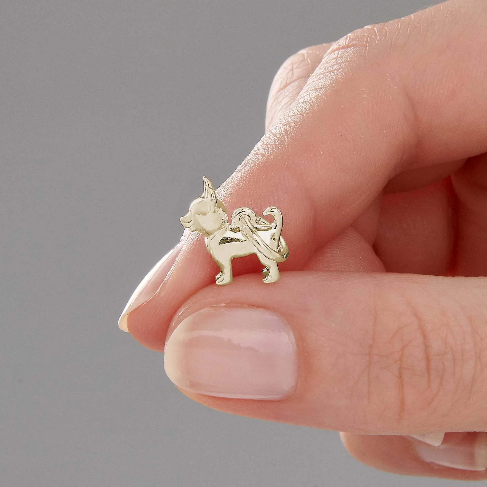 Chihuahua Solid Gold Dog Charm