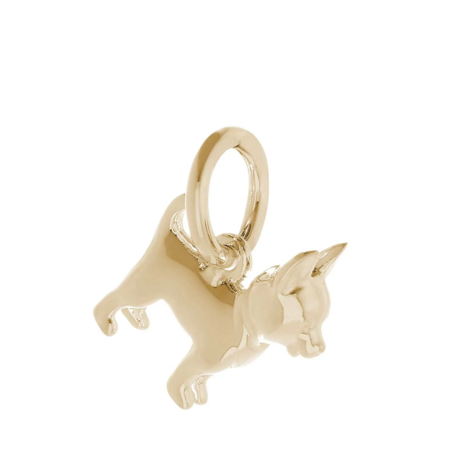 Chihuahua Solid Gold Dog Charm