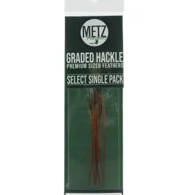 Metz Graded Hackle Single Pack