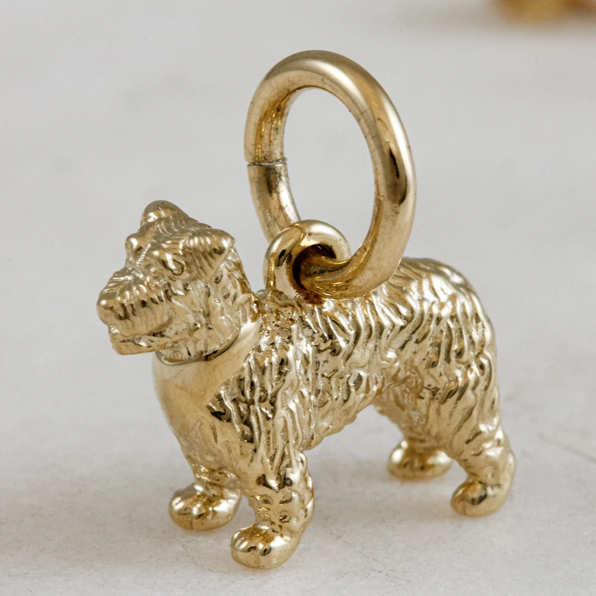 Miniature Schnauzer Solid Gold Dog Charm