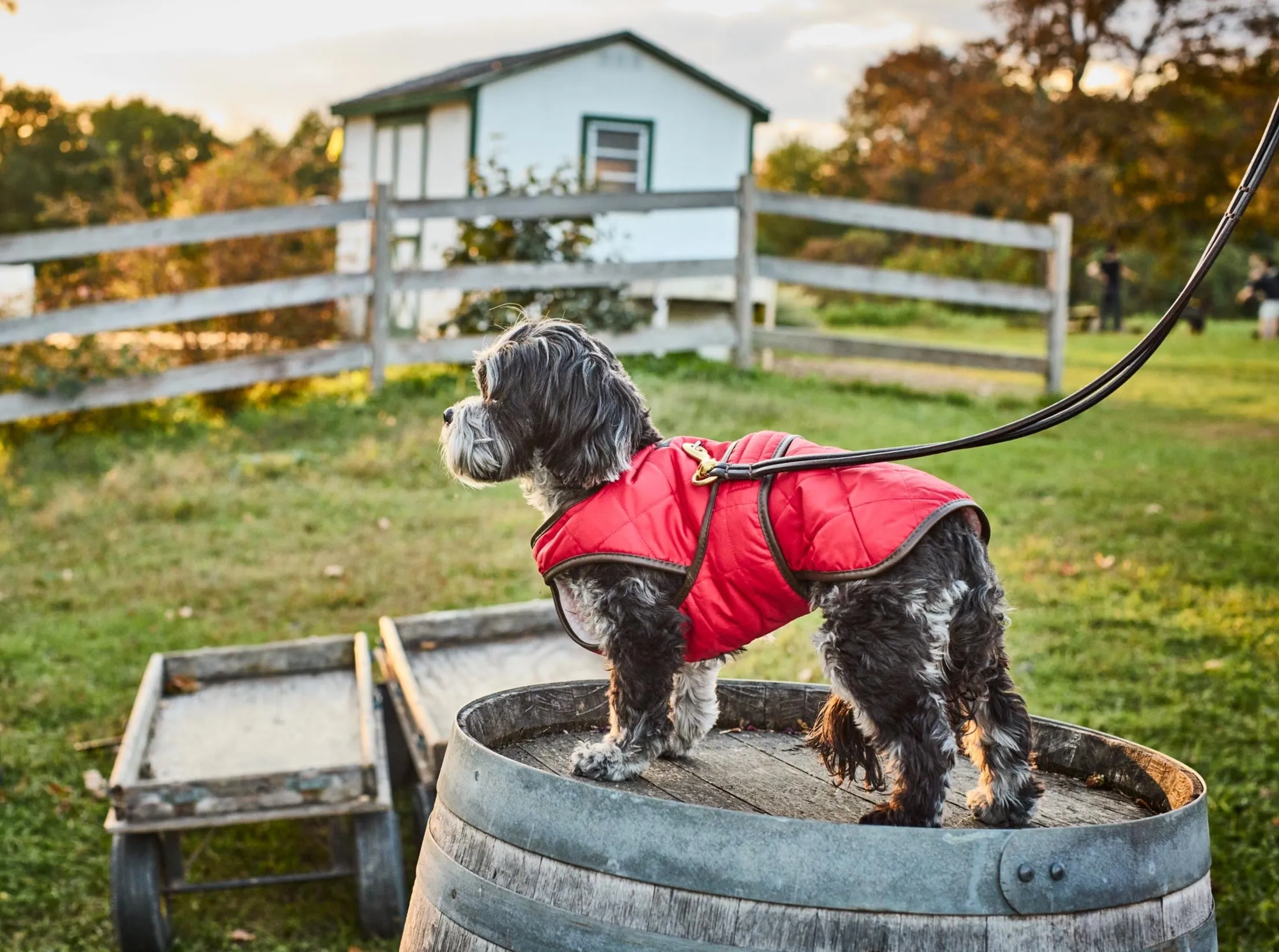 Quilted Vest with Berber Fleece