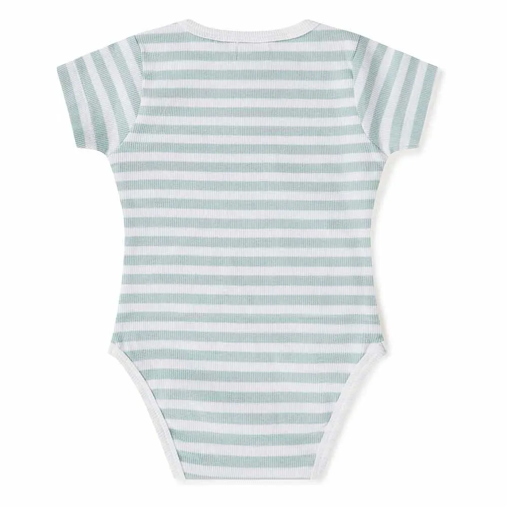 Snuggle Hunny - Sage Stripe Short Sleeve Organic Bodysuit